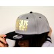 Grey/Black Metallic 2-Tone Cap