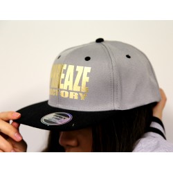 Grey/Black Metallic 2-Tone Cap