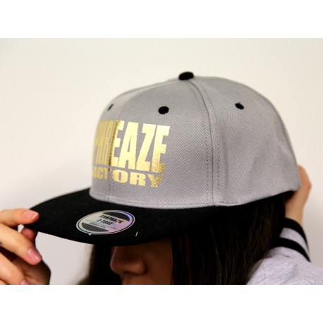 Grey/Black Metallic 2-Tone Cap