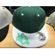 PFC Drip Metallic Green 2-Tone Snapback